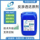 反渗透还原剂AW7
