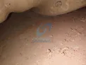 锅炉清洗案例