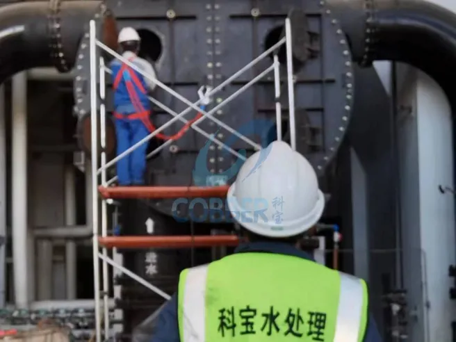 锅炉清洗案例