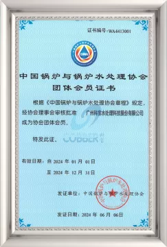 科宝锅炉与锅炉水处理会员证2024