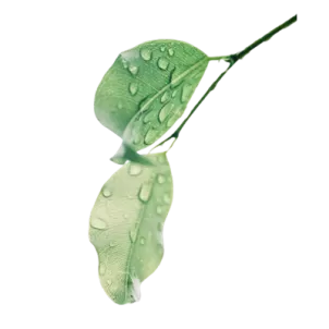 水处理